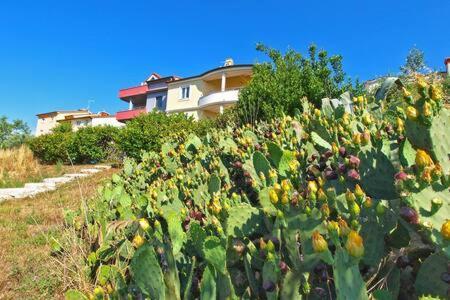 Villa Lucija PUY 외부 사진